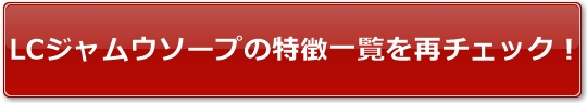 LC�W�����E�\�[�v�̓����ꗗ���ă`�F�b�N